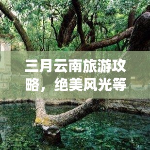 三月云南旅游攻略，絕美風(fēng)光等你來(lái)探！