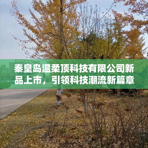秦皇島溫柔頂科技新品發(fā)布，科技潮流新篇章開啟