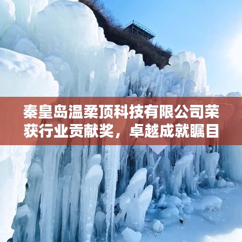 秦皇島溫柔頂科技榮獲行業(yè)貢獻獎，引領創(chuàng)新風潮，卓越成就矚目