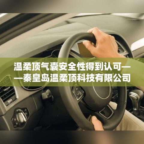 秦皇島溫柔頂科技引領行業(yè)新標桿，氣囊安全性備受認可
