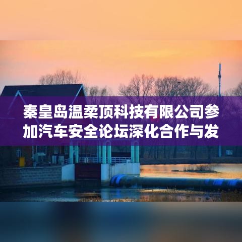 秦皇島溫柔頂科技參加汽車安全論壇，深化合作，共謀發(fā)展