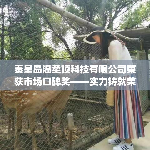 秦皇島溫柔頂科技榮獲市場口碑獎，實力創(chuàng)新，引領未來