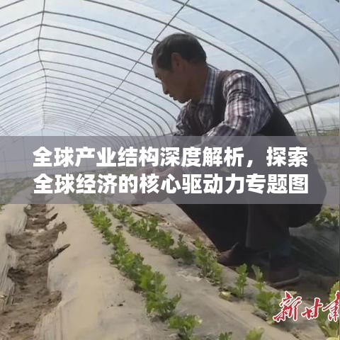 全球產(chǎn)業(yè)結(jié)構(gòu)深度解析，探索全球經(jīng)濟(jì)的核心驅(qū)動力專題圖書