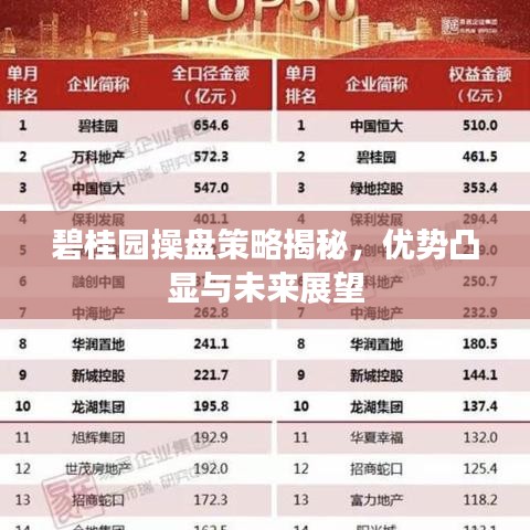 碧桂園操盤策略揭秘，優(yōu)勢(shì)凸顯與未來(lái)展望