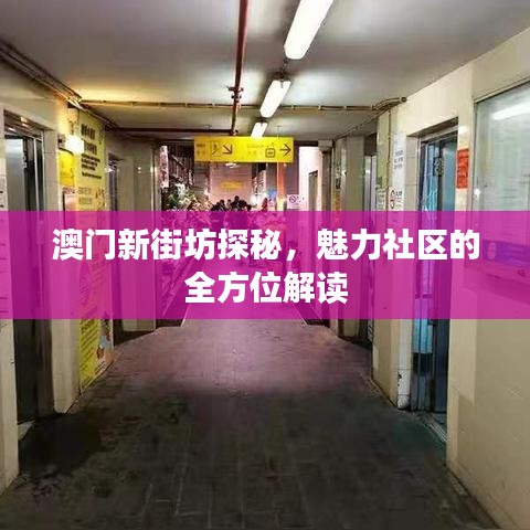 澳門新街坊探秘，魅力社區(qū)的全方位解讀