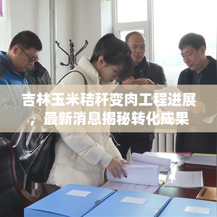 吉林玉米秸稈變?nèi)夤こ踢M展，最新消息揭秘轉(zhuǎn)化成果