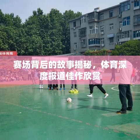 賽場背后的故事揭秘，體育深度報道佳作欣賞