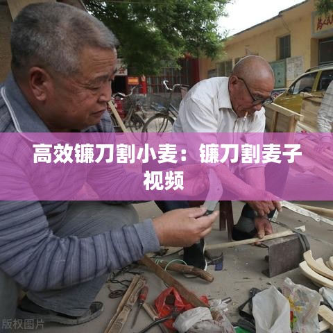 高效鐮刀割小麥：鐮刀割麥子視頻 