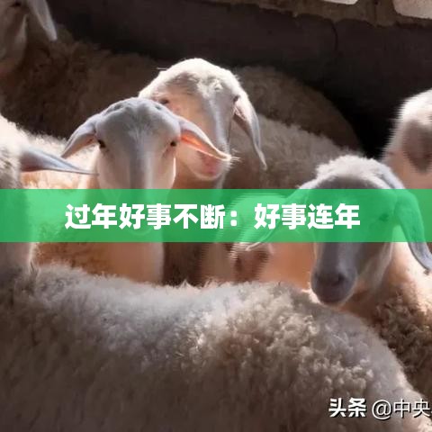 過年好事不斷：好事連年 