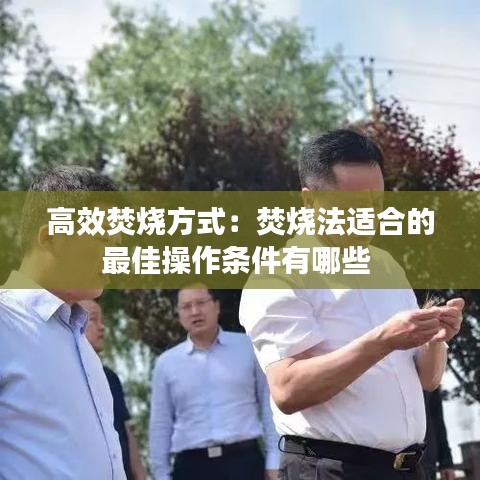 高效焚燒方式：焚燒法適合的最佳操作條件有哪些 