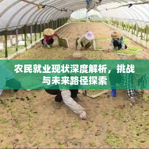 農(nóng)民就業(yè)現(xiàn)狀深度解析，挑戰(zhàn)與未來路徑探索