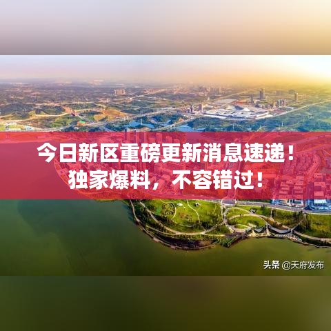 今日新區(qū)重磅更新消息速遞！獨家爆料，不容錯過！
