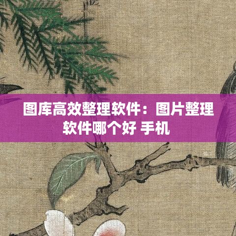 圖庫(kù)高效整理軟件：圖片整理軟件哪個(gè)好 手機(jī) 