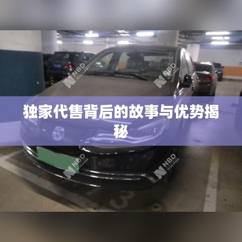 獨(dú)家代售背后的故事與優(yōu)勢揭秘