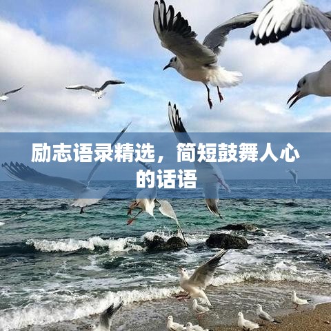 勵志語錄精選，簡短鼓舞人心的話語