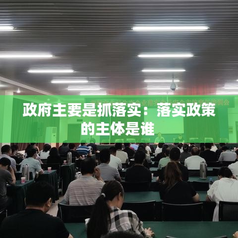 政府主要是抓落實(shí)：落實(shí)政策的主體是誰 