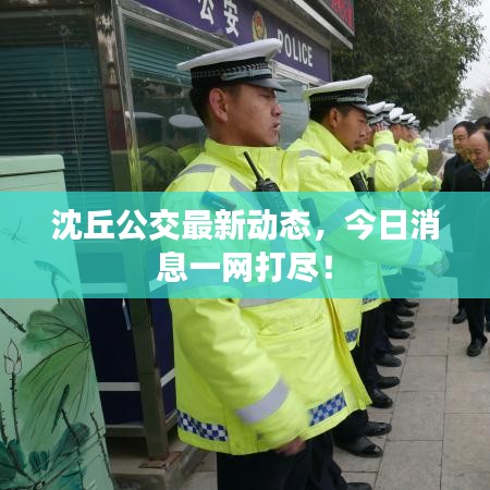 沈丘公交最新動(dòng)態(tài)，今日消息一網(wǎng)打盡！