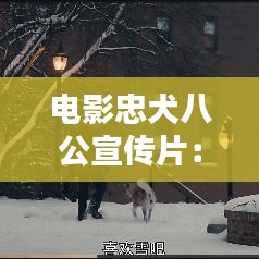 電影忠犬八公宣傳片：電影忠犬八公國(guó)語(yǔ)在線觀看完整 