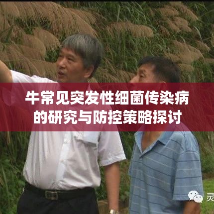 牛常見(jiàn)突發(fā)性細(xì)菌傳染病的研究與防控策略探討