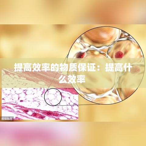 提高效率的物質保證：提高什么效率 