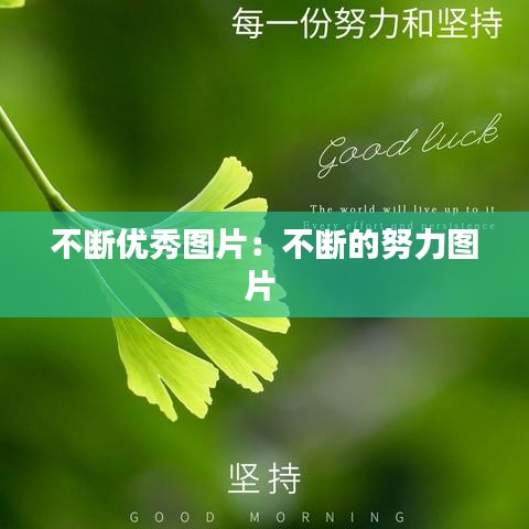 不斷優(yōu)秀圖片：不斷的努力圖片 