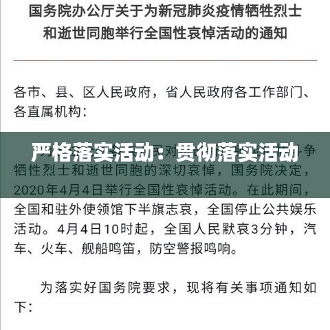 嚴格落實活動：貫徹落實活動 