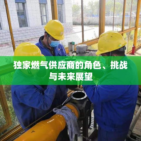 獨(dú)家燃?xì)夤?yīng)商的角色、挑戰(zhàn)與未來展望