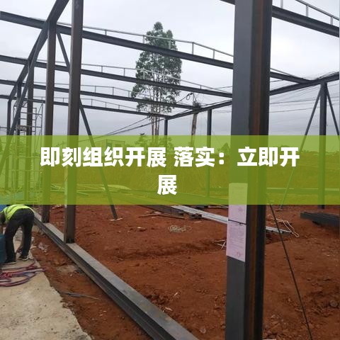 即刻組織開(kāi)展 落實(shí)：立即開(kāi)展 