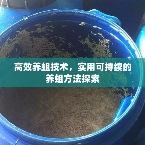 高效養(yǎng)蛆技術(shù)，實(shí)用可持續(xù)的養(yǎng)蛆方法探索