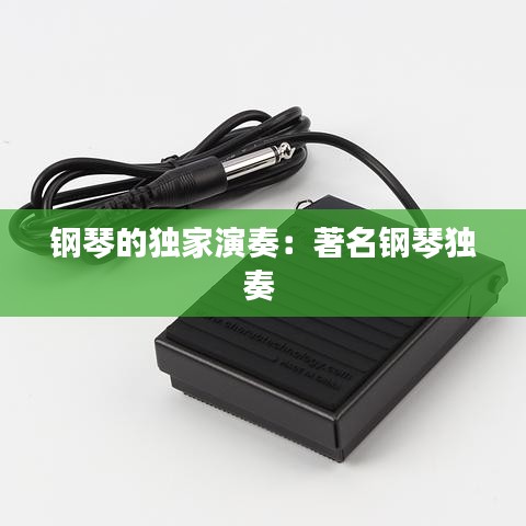 鋼琴的獨家演奏：著名鋼琴獨奏 