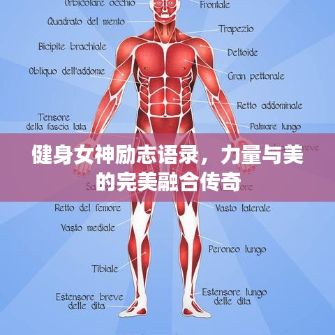 健身女神勵(lì)志語(yǔ)錄，力量與美的完美融合傳奇