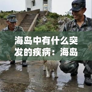 海島中有什么突發(fā)的疾?。汉u現(xiàn)狀 