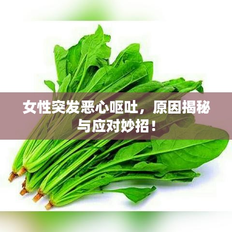 女性突發(fā)惡心嘔吐，原因揭秘與應對妙招！