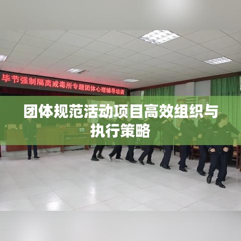 團(tuán)體規(guī)范活動(dòng)項(xiàng)目高效組織與執(zhí)行策略