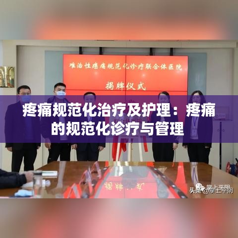 疼痛規(guī)范化治療及護理：疼痛的規(guī)范化診療與管理 