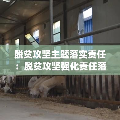 脫貧攻堅主題落實責(zé)任：脫貧攻堅強化責(zé)任落實 