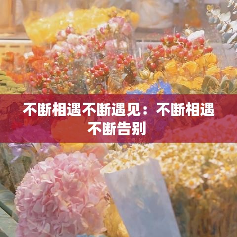 不斷相遇不斷遇見(jiàn)：不斷相遇不斷告別 