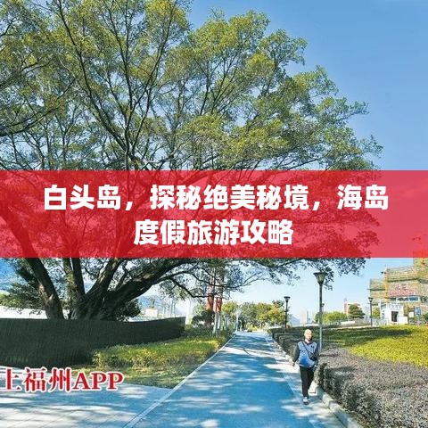 白頭島，探秘絕美秘境，海島度假旅游攻略