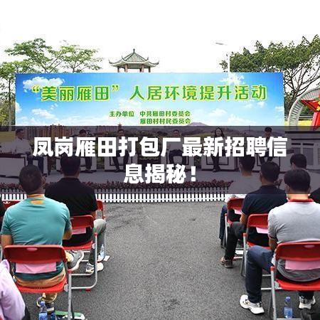 鳳崗雁田打包廠最新招聘信息揭秘！