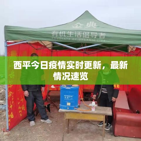 西平今日疫情實時更新，最新情況速覽