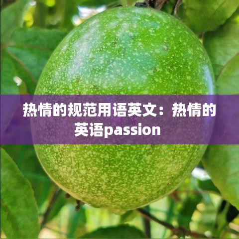 熱情的規(guī)范用語英文：熱情的英語passion 
