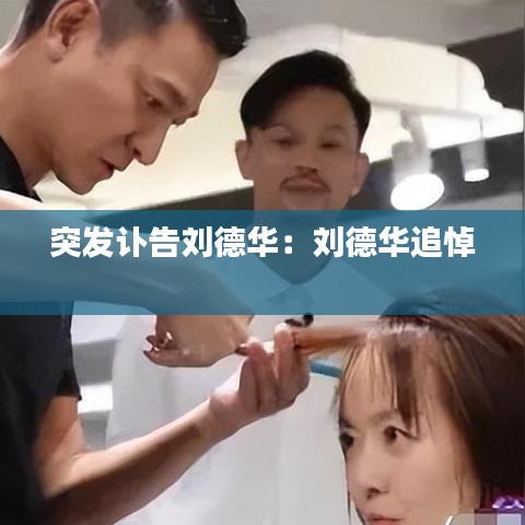 突發(fā)訃告劉德華：劉德華追悼 