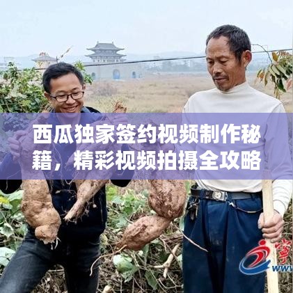 西瓜獨家簽約視頻制作秘籍，精彩視頻拍攝全攻略