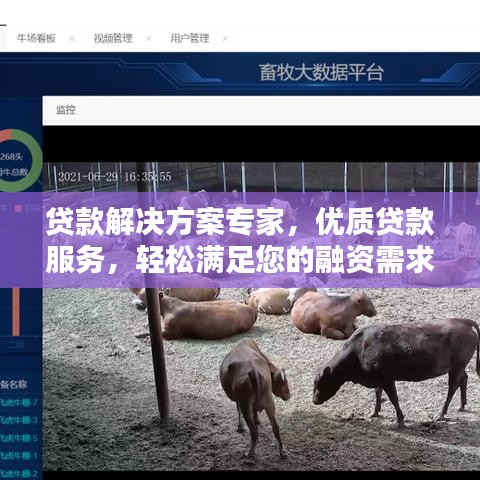 貸款解決方案專家，優(yōu)質(zhì)貸款服務(wù)，輕松滿足您的融資需求！