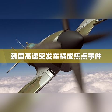 韓國高速突發(fā)車禍成焦點事件