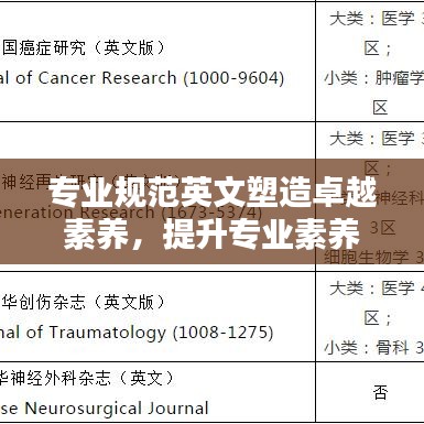 專業(yè)規(guī)范英文塑造卓越素養(yǎng)，提升專業(yè)素養(yǎng)的關(guān)鍵之道