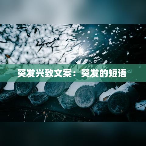 突發(fā)興致文案：突發(fā)的短語 