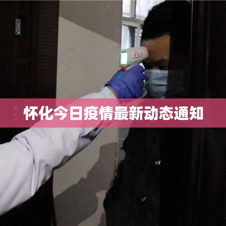 張皇鋪飾 第3頁