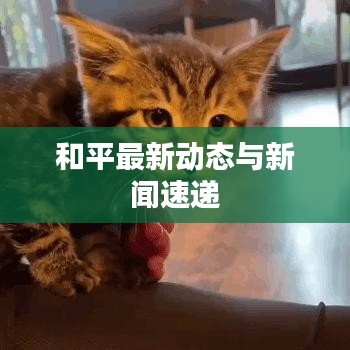 喜出望外 第3頁