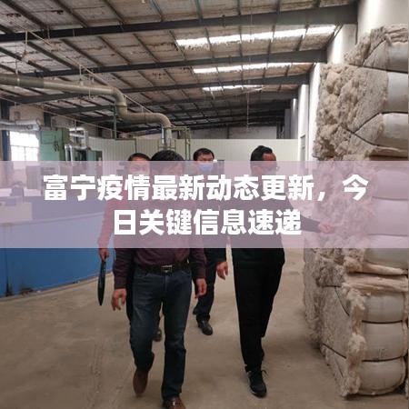 富寧疫情最新動態(tài)更新，今日關(guān)鍵信息速遞